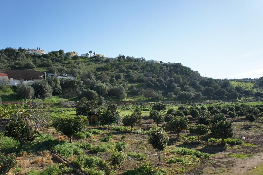 Horta Grande Hotel Silves Luaran gambar